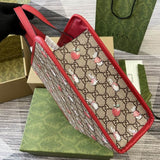 605614 25X28.5X11cm MP 2 colori 0