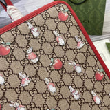 605614 25X28.5X11cm MP 2 colori 0