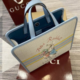 605614 25X28.5X11cm MP 2 colori 0