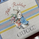 605614 25X28.5X11cm MP 2 colori 0